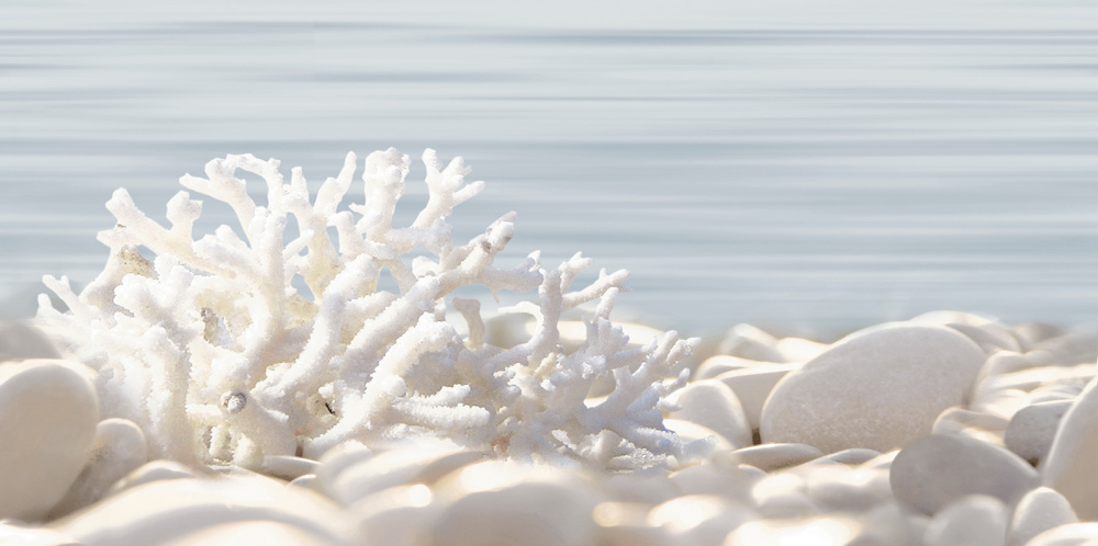 Декор "Del Mare" 500Х249 DWU09DLM624 Декор "Del Mare" 500Х249 DWU09DLM624