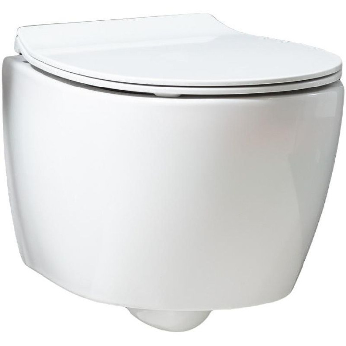 Унитаз подвесной Allen Brau Fantasy 4.11004.20 без сиденья Унитаз подвесной Allen Brau Fantasy 4.11004.20 без сиденья