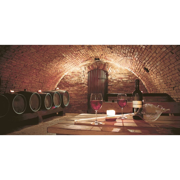 Декор "Тоскана" 500Х250 Декор "Тоскана" 500Х250