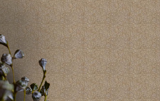 Обои "Roberto Cavalli" №3 винил на флизелине D14032