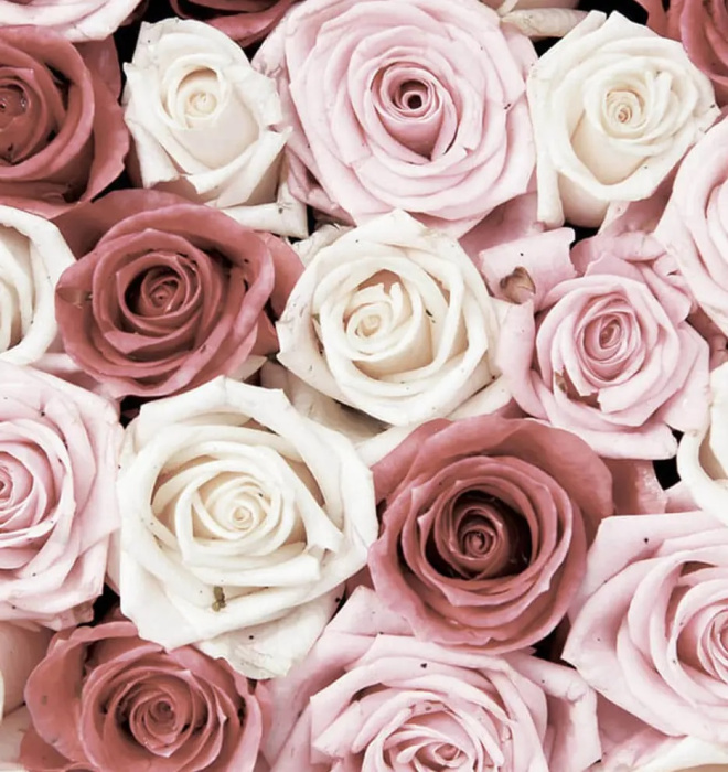 Фотообои на бумаге 3,68*2,54м (4 части) 1629P8