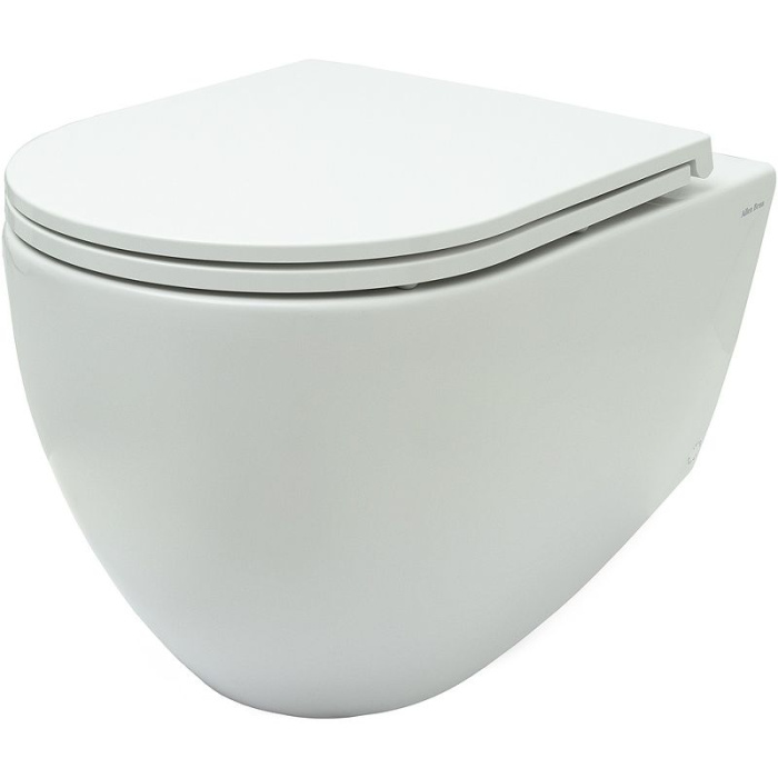 Унитаз подвесной Allen Brau Reality 4.32006.20 без сиденья