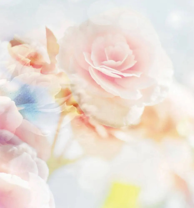 Фотообои на бумаге 3,68*2,54м (4 части) 2701P8 Фотообои на бумаге 3,68*2,54м (4 части) 2701P8