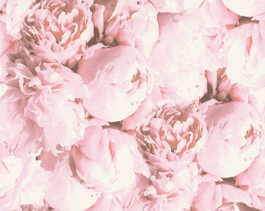 Обои A.S. Creation Pionia 37658-2