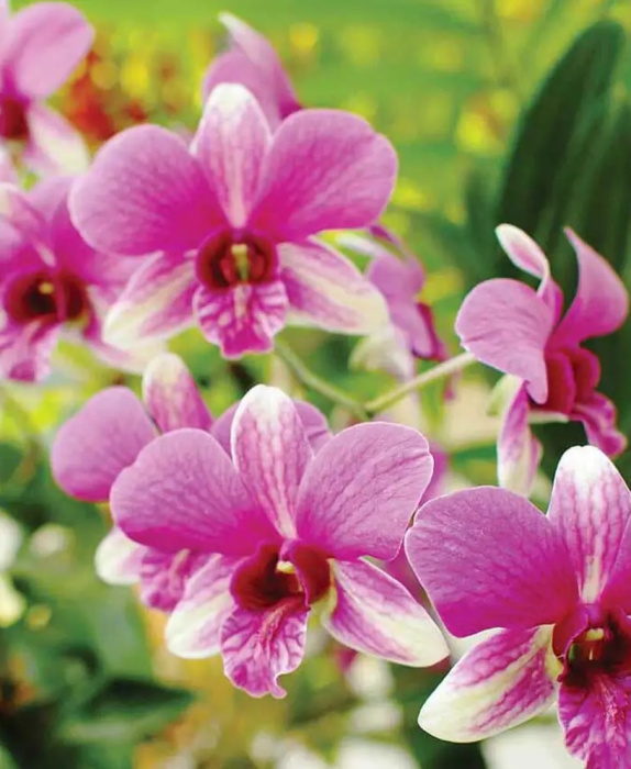 Фотообои на бумаге 3,68*2,54м (4 части) 3402P8