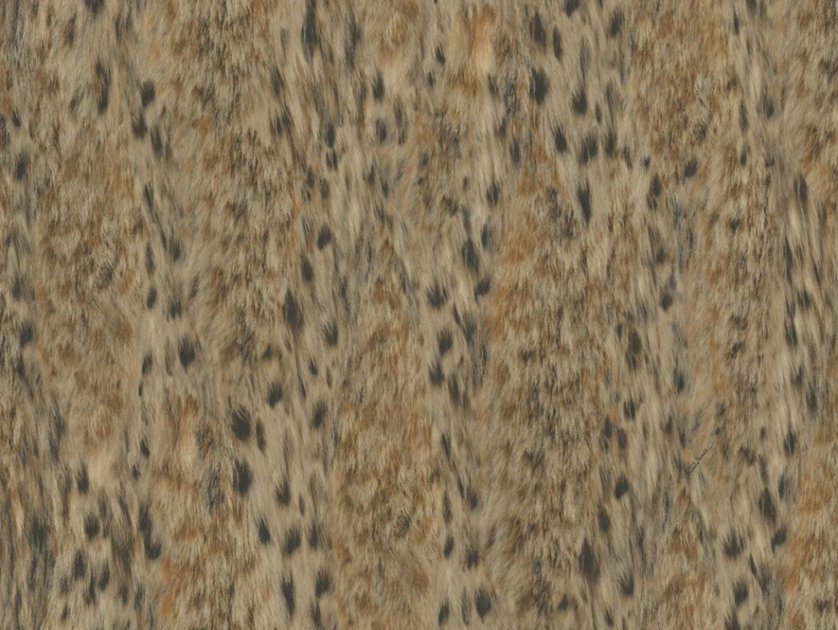 Обои "Roberto Cavalli" №3 винил на флизелине D14063