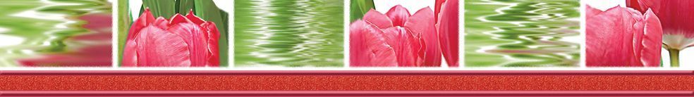 Бордюр "Тюльпаны" 500Х70