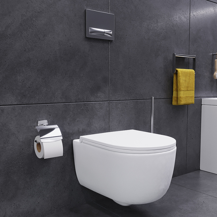 Унитаз подвесной Damixa Sirius DX86C1800SC с сиденьем Микролифт Унитаз подвесной Damixa Sirius DX86C1800SC с сиденьем Микролифт