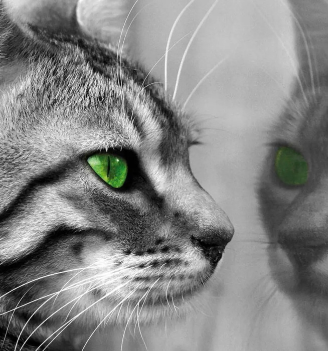 Фотообои на бумаге 2,54*1,84м (2 части) 139P4 Фотообои на бумаге 2,54*1,84м (2 части) 139P4