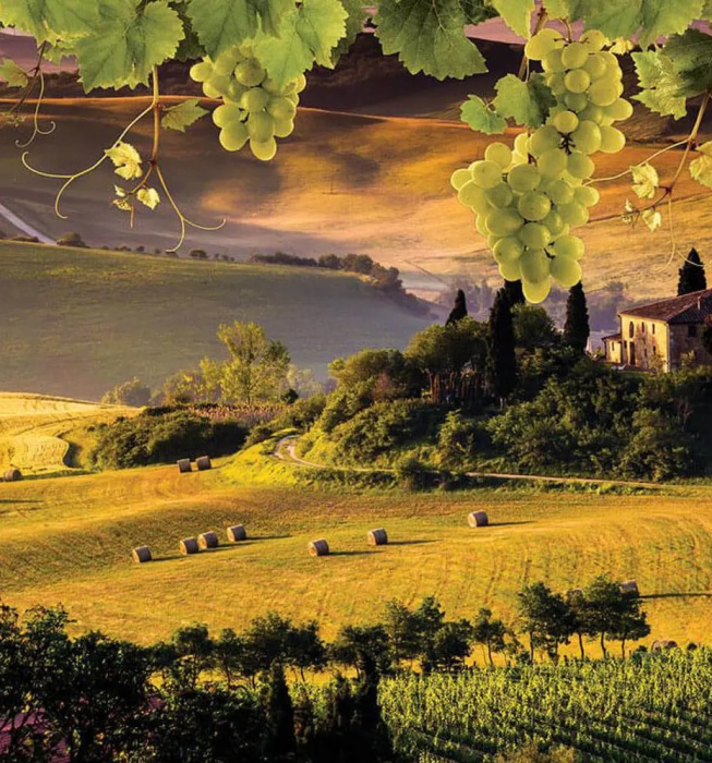 Фотообои на бумаге 3,68*2,54м (4 части) 2331P8 Фотообои на бумаге 3,68*2,54м (4 части) 2331P8