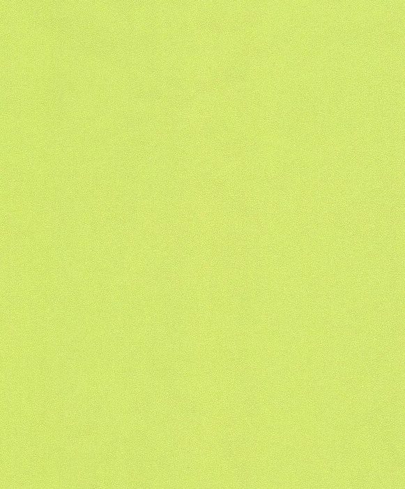 Обои Erismann (1,06*10,05м) 4055-7