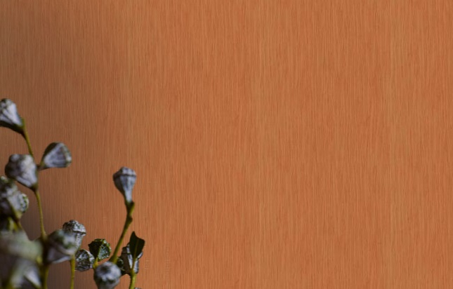 Обои "Roberto Cavalli" №1 винил на флизелине D12062