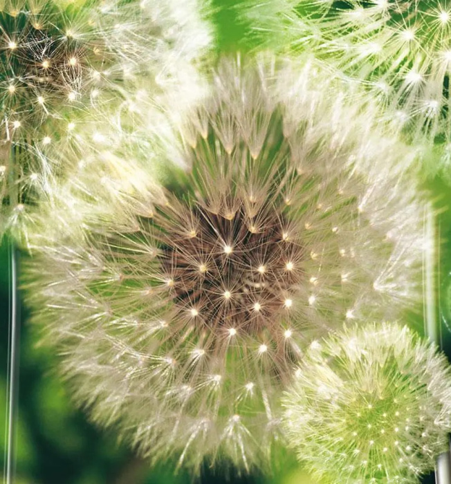 Фотообои на флизелине 2,54*1,84м (2 части) 056V4