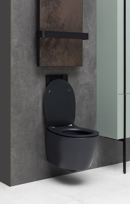 Унитаз подвесной Allen Brau Fantasy 4.11004.31 без сиденья