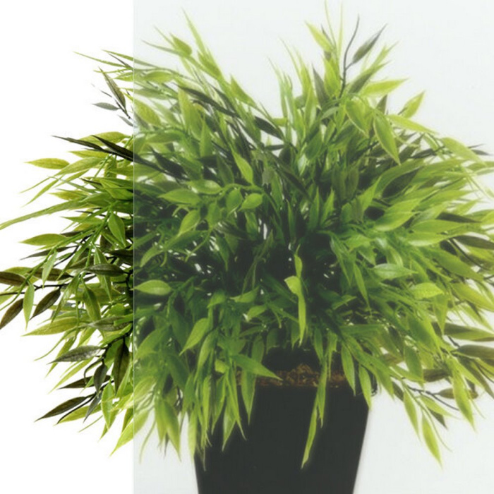 Душевое ограждение Triton Вента Блэк 800Х800Х2020