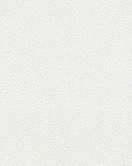 Обои "Roberto Cavalli" (1,06*10,05м) №8 19020