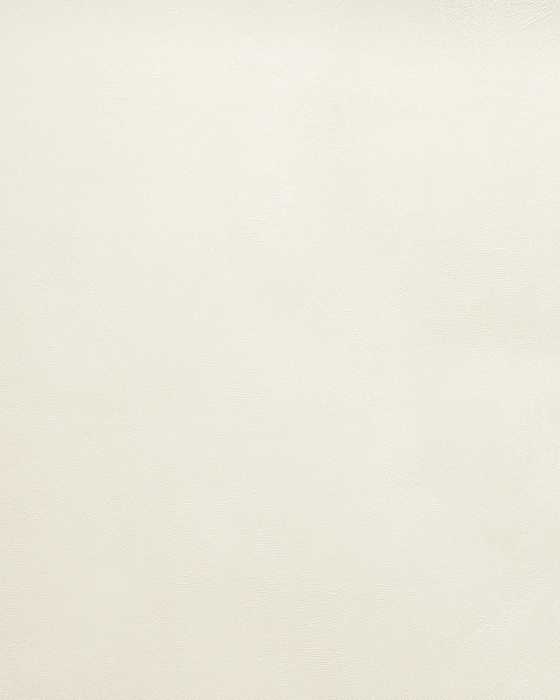 Обои Accento Fancy 1,06х10м 287766